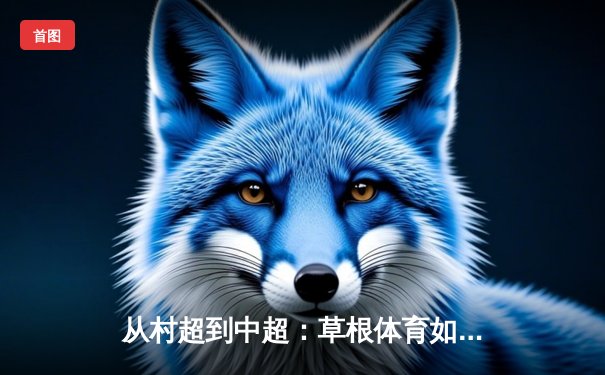 从村超到中超：草根体育如何重塑中国足球文化生态